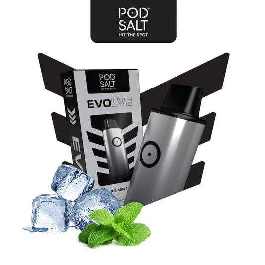 RECHARGE POD SALT EVOLVE 5000 PUFFS ICE MINT